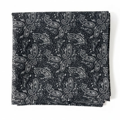 Striessnig Krawatte und Pochette Schwarz
