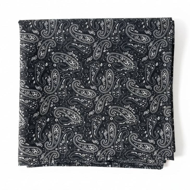 Striessnig Krawatte und Pochette Schwarz